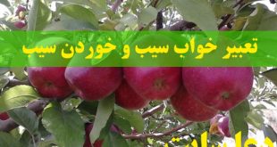 تعبیر خواب سیب و خوردن سیب - دیدن درخت سیب قرمز در خواب