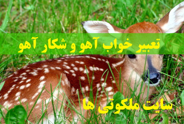 تعبیر خواب آهو و شکار آهو - دیدن بچه آهو در خواب نشانه چیست
