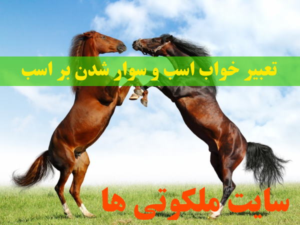 تعبیر خواب اسب و سوار شدن بر اسب - تعبیر اسب سیاه و سفید در خواب