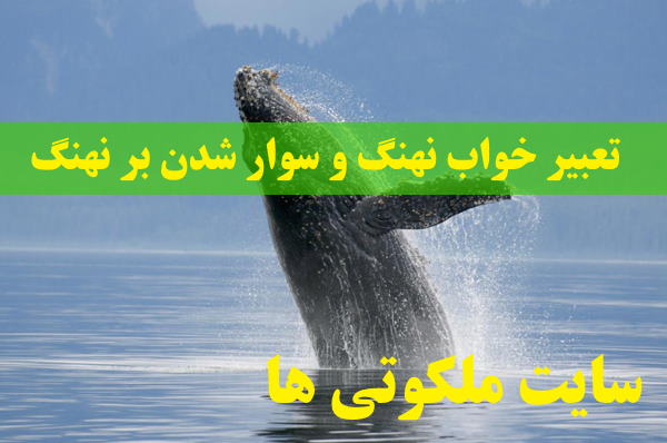 تعبیر خواب نهنگ و سوار شدن بر نهنگ - تعبیر خوردن گوشت نهنگ در خواب