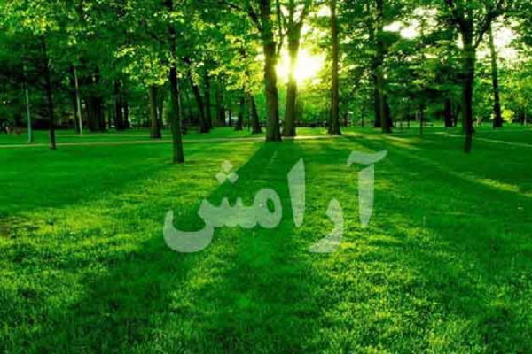 ذکر قرآنی آرامش دهنده برای ایجاد آرامش روح و روان و آرامش دل