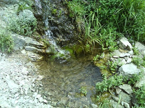 علامت و نشانه دفینه در چشمه ها - رمزگشایی محل گنج در چشمه