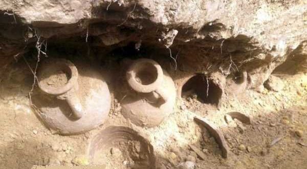 استفاده از موکل در حفاری برای پیدا کردن محل گنج و دفینه