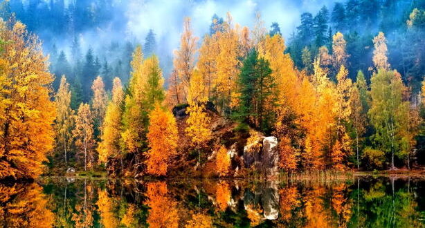 دعا برای سلامتی از آفات و بیماری و ایمن ماندن از بلاهای شب و روز