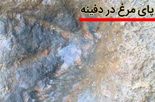 علامت و نشانه پای مرغ و پای غاز روی سنگ در گنج و دفینه یابی