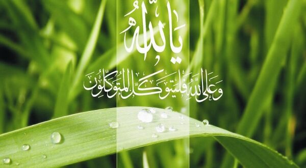 ذکر پیدا شدن اشیاء گمشده و یافتن گمشده و سرقت و دزدیده شده