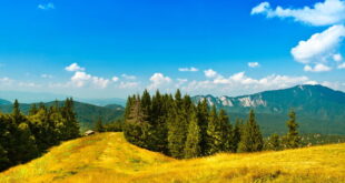 ذکر یا رزاق برای افزایش روزی,خواص ذکر یا رزاق برای طلب روزی