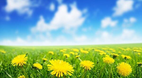 دعای مجرب برای گرفتن حاجت و خواسته و رفع مشکل و گرفتاری