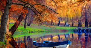 آیه برای طلب شفاعت بیماری ها و آمرزش گناهان کبیره