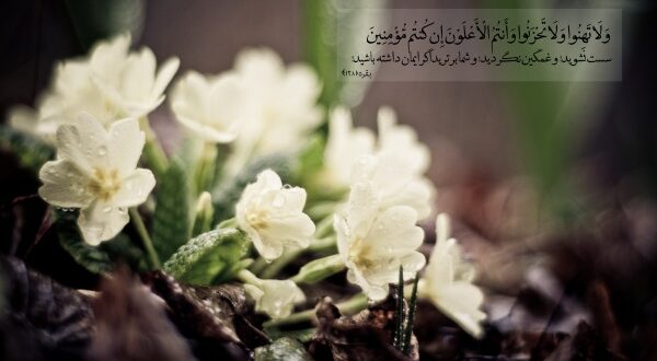 دعای رفع ترس و وحشت و غم و اندوه و رسیدن به آرامش امام صادق (ع)