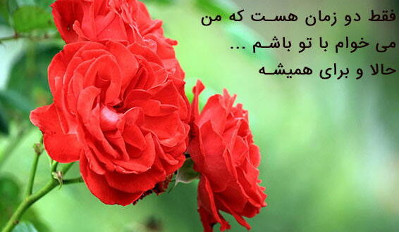 نماز رفع فقر و گشایش کار و رزق و روزی و ادای قرض و دین و طلب