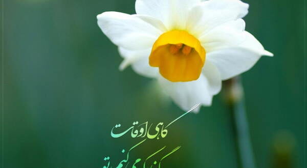 دعای بخت گشایی برای پسران و مردان جهت باز شدن بخت و ازدواج پسران