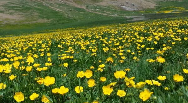 دعای گشایش بخت و اقبال و کارها جهت کارگشایی و باز شدن بخت بسته
