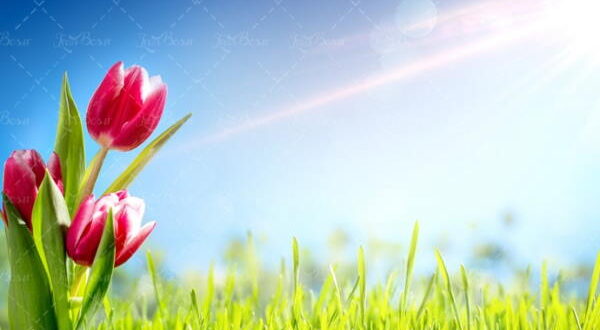 دعاهای کارگشایی و رفع مشکلات برای گشایش کار و نجات از مشکلات