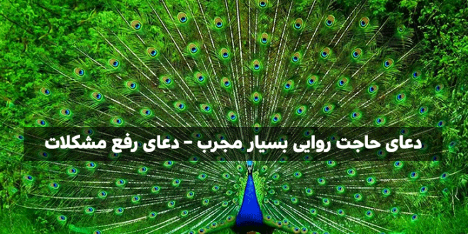 دعای نور حضرت علی برای حاجت و برآورده شدن حاجت و خواسته