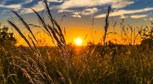 ختم دعای نور برای ایمنی از تهمت و غیبت و مذلت و بدگویی دیگران