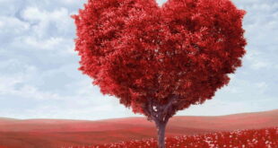دعای محبت آویز به درخت برای جلب محبت و افزایش مهر و محبت