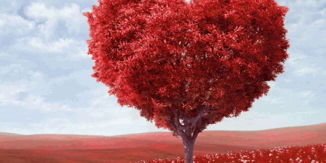 دعای محبت آویز به درخت برای جلب محبت و افزایش مهر و محبت