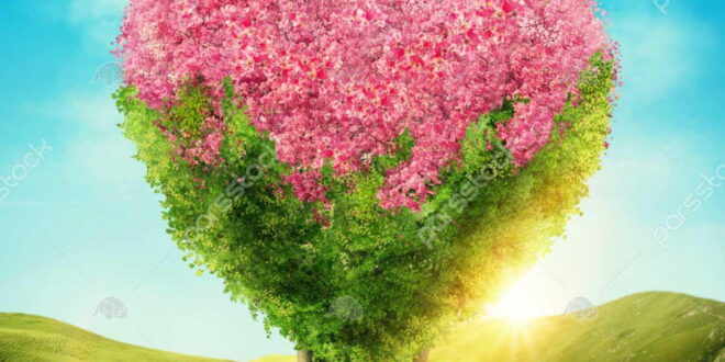 دعای محبت آویزان در باد برای افزایش محبت و جلب محبت دیگران