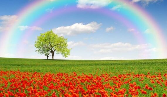 دعای مهر و محبت همگانی برای جلب مهر و محبت همگان