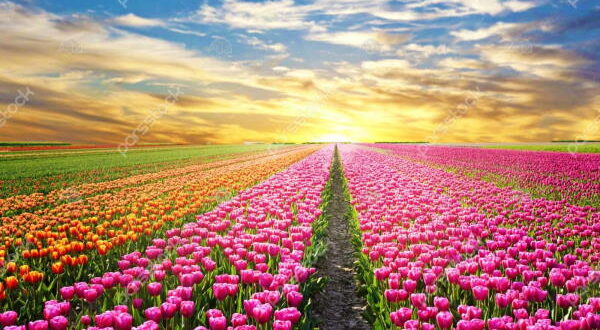 دعای مجرب رسیدن به عشق و دعای کن فیکون رسیدن به معشوق