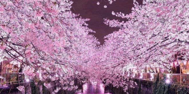 دعاهای قرآنی و مجرب یرای مهر و محبت از راه دور