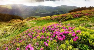 دعای خیلی قوی برای جلب مشتری,دعای بسیار قوی جهت جذب مشتری