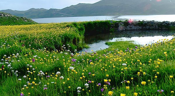 دعای خیلی قوی برای چشم زخم و دفع و باطل کردن چشم زخم