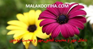 دعای مهر و محبت قطعی,ایجاد مهر و محبت بین زوجین