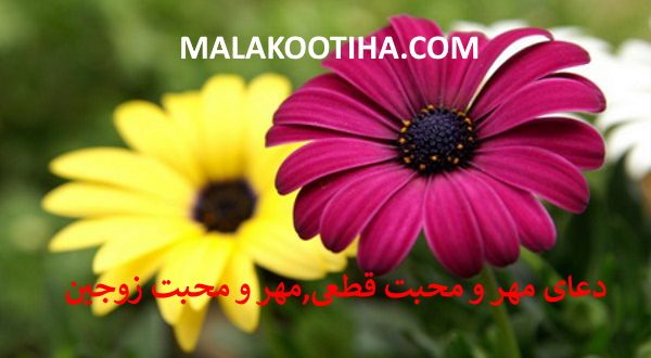 دعای مهر و محبت قطعی,ایجاد مهر و محبت بین زوجین