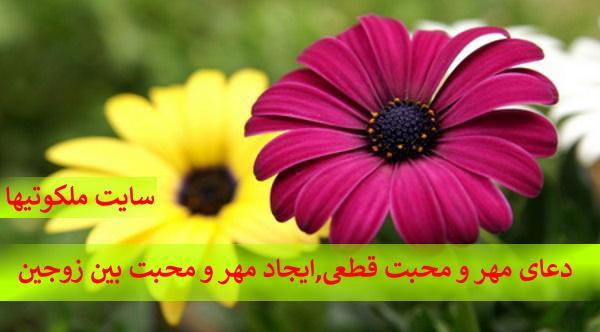 دعای مهر و محبت قطعی,ایجاد مهر و محبت بین زوجین