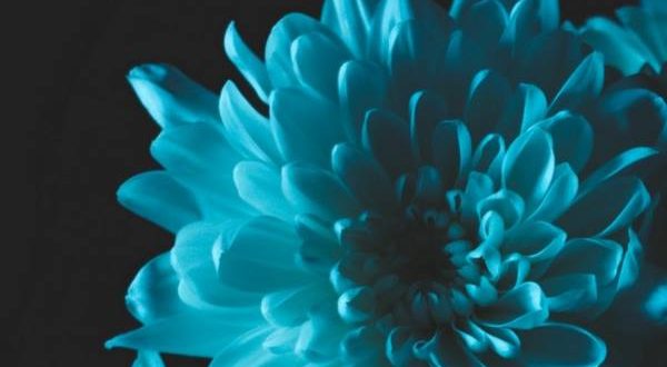 دعا برای ایجاد عشق و محبت در دل مرد و شوهر
