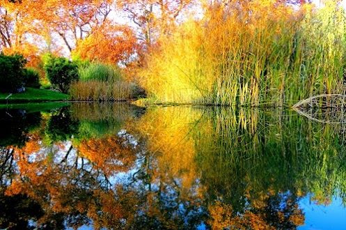 دعای فروش خانه روی گندم از شیخ بهایی برای حاجت فروش خانه