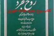 کتاب روح مجرد علامه طهرانی,معرفی کتاب روح مجرد علامه طهرانی