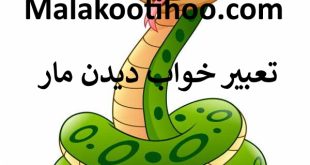 تعبیر خواب دیدن مار,تعبیر مار دیدن در خواب