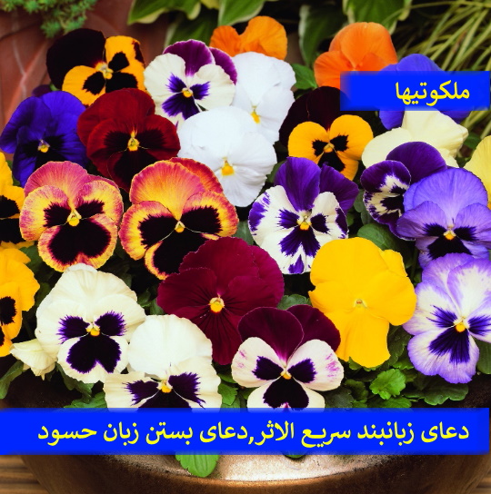 دعای زبانبند سریع الاثر,دعای بستن زبان حسود