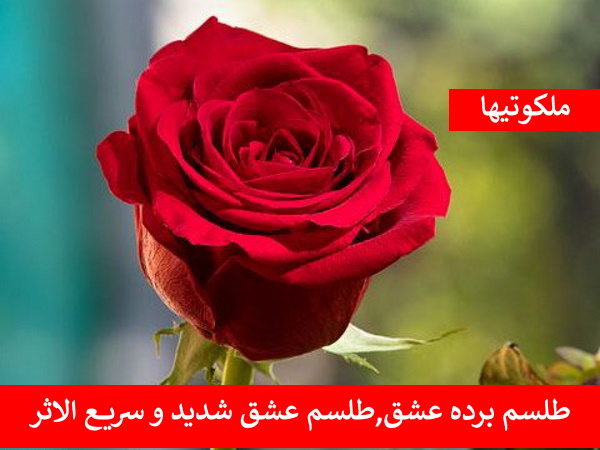 طلسم برده عشق,طلسم عشق شدید و سریع الاثر