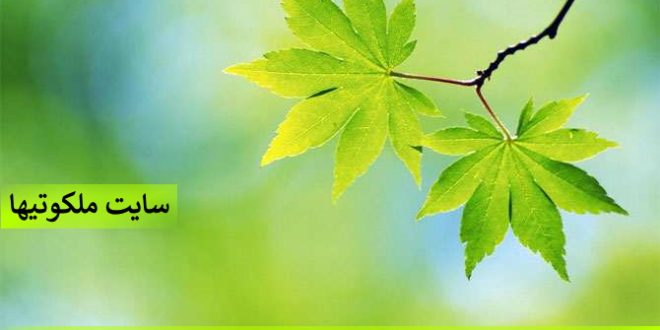 آشنایی با علوم غریبه,علم جفر و ماورالطبیعه