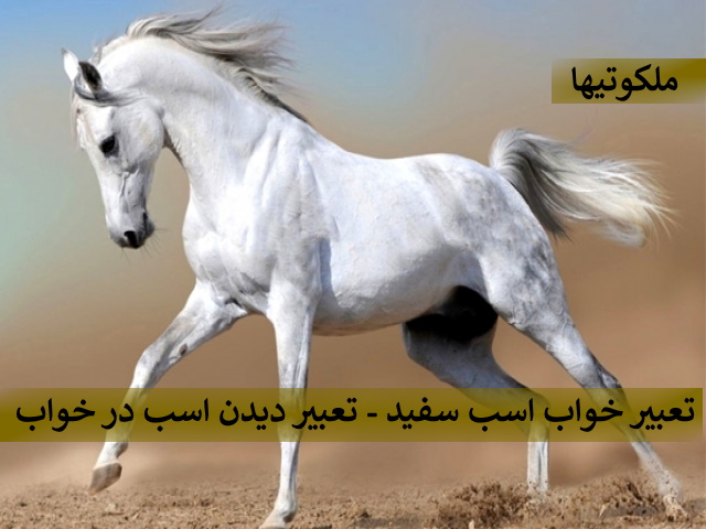 تعبیر خواب اسب سفید - تعبیر دیدن اسب در خواب