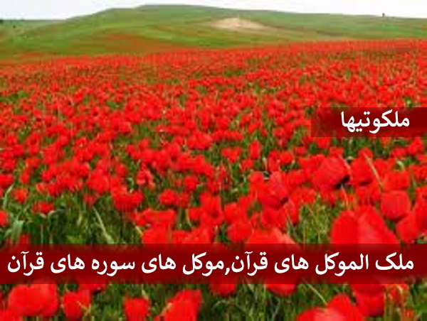 ملک الموکل های قرآن,موکل های سوره های قرآن