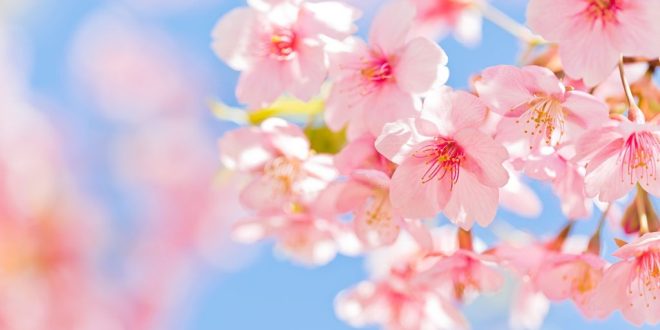 بهترین آیه قرآن برای استجابت دعا,آیه مجرب و تضمینی اجابت دعا