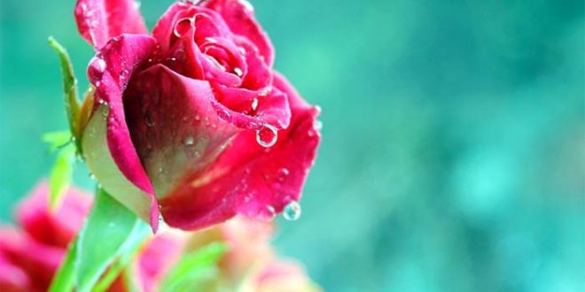 دعای صبحگاهی برای رزق و روزی,دعای اول صبح برای افزایش رزق و روزی