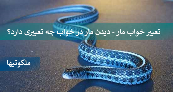 تعبیر خواب مار - دیدن مار در خواب چه تعبیری دارد؟