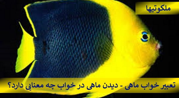 تعبیرخواب ماهی - دیدن ماهی در خواب چه معنایی دارد؟