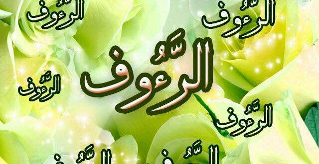 خواص و فضیلت ذکر الرئوف از اسماء الله و نام های نیکوی خداوند