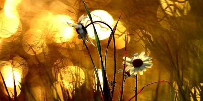 دعا برای زود ساخته شدن خانه,دعا برای ساختن سریع خانه