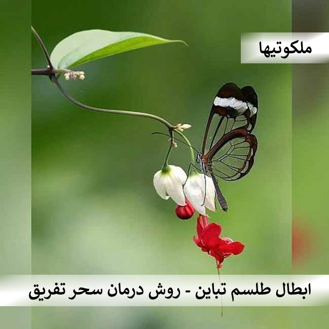 ابطال طلسم تباین و تفریق - روش های درمان و باطل کردن سحر تفریق