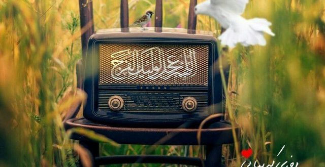 خواص ذکر الرافع برای عزت و کرامت و عزیز و مکرم شدن میان مردم