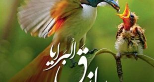 خواص گفتن 308 بار ذکر یا رازق برای جلب و گشایش رزق و روزی