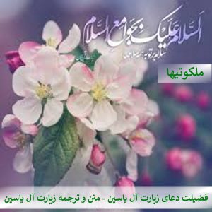 فضیلت دعای زیارت آل یاسین - متن و ترجمه زیارت آل یاسین